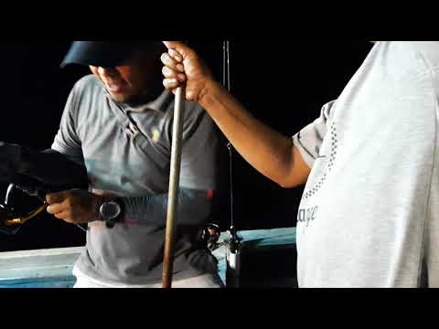 ruby snapper pertamaku