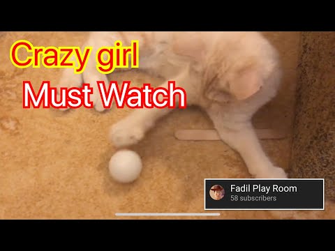 My Cat 😻| Crazy girl | Must Watch |
