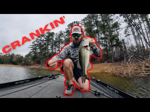 Small Crankbaits = BIG Fall Largemouth (You Need to Try This)