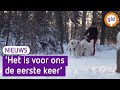 Sledehonden trainen in de Achterhoek