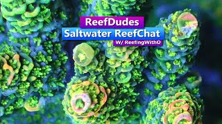 ReefDudes - Saltwater Reef Chat Video podcast