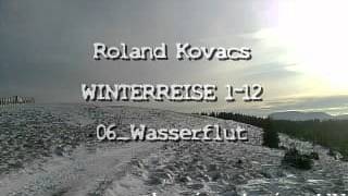 Wasserflut_WINTERREISE 1-12_ROLAND KOVACS