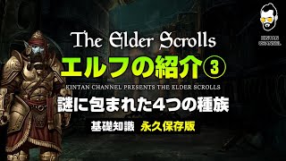 【スカイリムが100倍楽しくなる】種族解説⑨ ドゥーマーとアイレイド【The Elder Scrolls】オブリビオン TES6 TESO