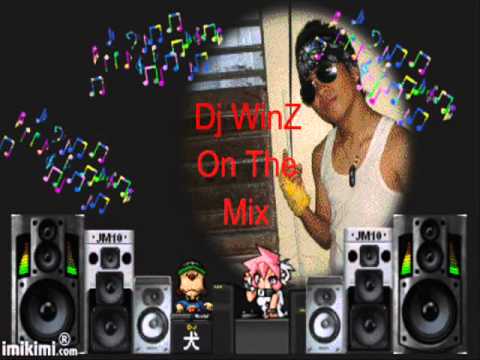 Dj WinZ - Drop It Low (WinZ Remix) 2012