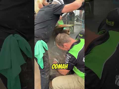Pit Stop od Nekoliko Sekundi 😳🏍️