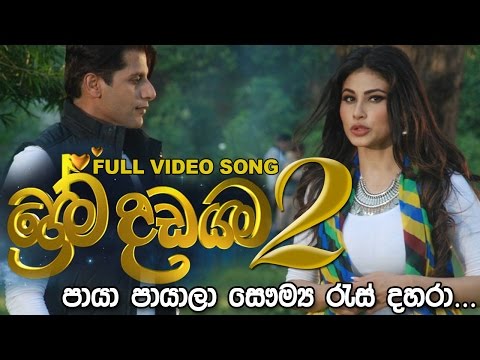 Prema Dadayama New Song ප්‍රේම දඩයම 2 තේමා ගීතය - Paya Payala පායා පායාලා full Video Song