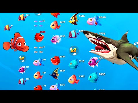 Hungry Fish Fishdom Nemo Gameplay level 9999 | Today's Special