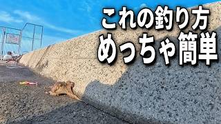 6月～8月のタコ釣りは難しくない！初心者でも大丈夫