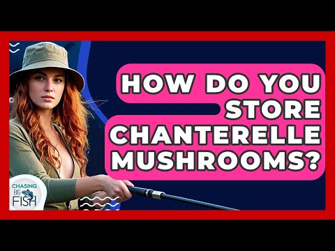How Do You Store Chanterelle Mushrooms? - Chasing Big Fish