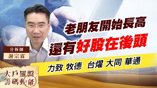 老朋友開始長高 還有好股在後頭 ｜大戶羅盤籌碼動能 ｜謝宗霖 (圖)