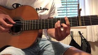 Riki - Litighiamo | Guitar Cover-Tutorial