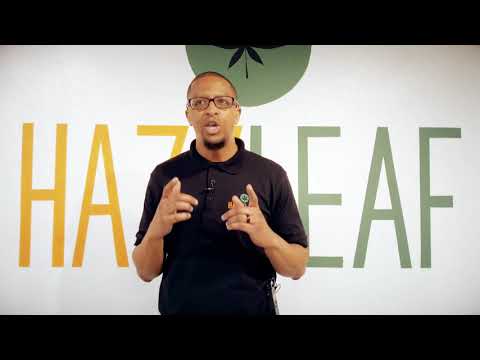 Hazy Leaf   Grand Opening   Main Video