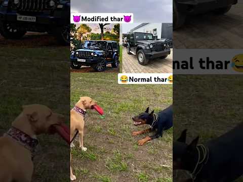modified thar😈 vs normal thar😂  #thar #mahindra #shorts #ytshorts #modification #tharlover #status