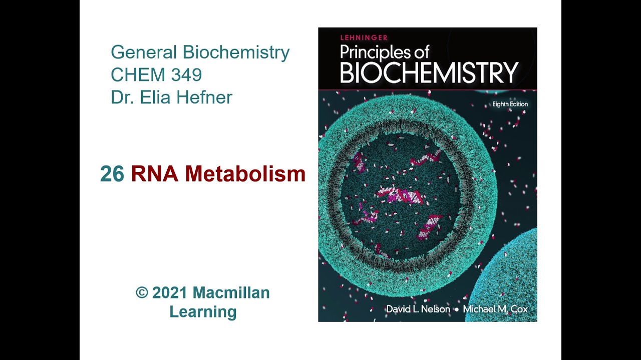 Chapter 26 - RNA Metabolism