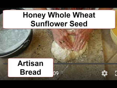 Honey Whole Wheat Sunflower Seed Artisan Bread (2020) Dutch oven Style Recipe included below