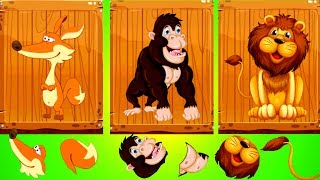 Kids learn about Zoo Animals | Animal Puzzle Games for Kids with Real Videos - Fun & Education