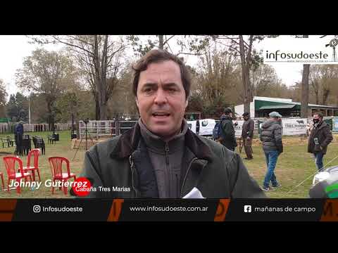 Nota a Johnny Gutierrez |  Remate de Ganadera Salliqueló eb Cabaña Las Tres Marías