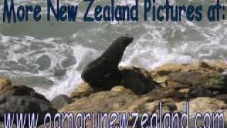 preview picture of video 'Oamaru New Zealand'