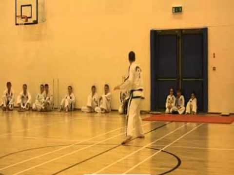 Mr Mc Sherry 4th Degree - Moon-Moo Pattern