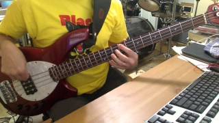 Descendents - I Wanna Be A Bear Bass Cover