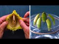 13 Genius Gardening Hacks That You Ll Be Glad To Know Blossom