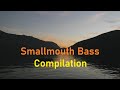 Video Thumbnail for Smallmouth Bass Compilation