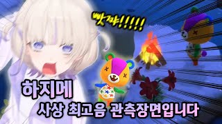 하지메의 동숲은 비명이 가득했다 (hajime 하지메 / hololive 홀로라이브 / vtuber 버튜버 / clip 키리누키 클립)