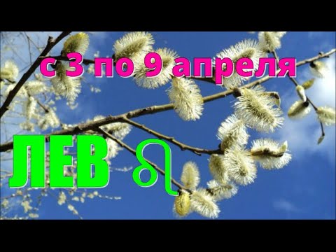 ЛЕВ ♌️с 3 по 9 апреля.