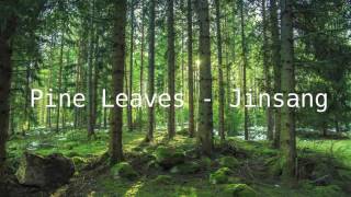 Pine Leaves - Jinsang
