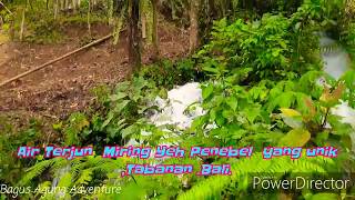 Download lagu Air terjun miring yeh penebel yang unik.Tabanan.Bali. mp3