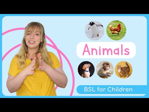 Sign Language for Children | Animals | BSL for Kids