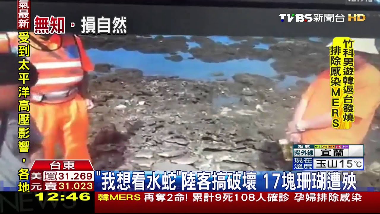 惡劣！陸客遊台東　竟拿石頭砸爛珊瑚