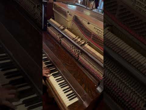 Timeless Acoustic Elegance: Newman Bros. Co. Upright Piano image 7