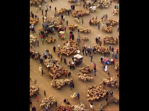 download lagu mp3 mp4 Eid Mubarak In Turkish, download lagu Eid Mubarak In Turkish gratis, unduh video klip Eid Mubarak In Turkish