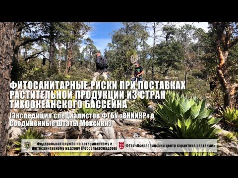 Фитосанитарные риски при поставках растительной продукции из стран Тихоокеанского бассейна