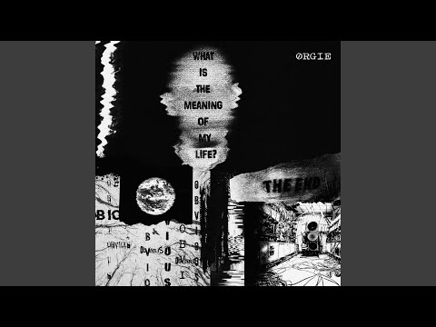 What Is The Meaning Of My Life?