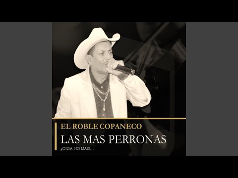 MIX LO MEJOR EL ROBLE COPANECO