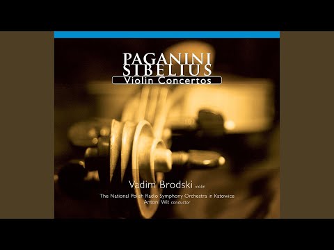 Violin Concerto No. 1 in D Major, Op. 6, MS 21: I. Allegro maestoso