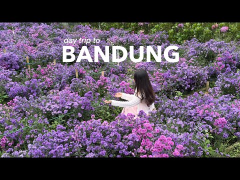 flower garden escape in Bandung (new cafes, bakery treat and comfort food)