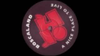 The men from del bosca - Vorsprüng,Dürch,Techno (Boscaland recordings 03) 1993. A2: Do you wana.