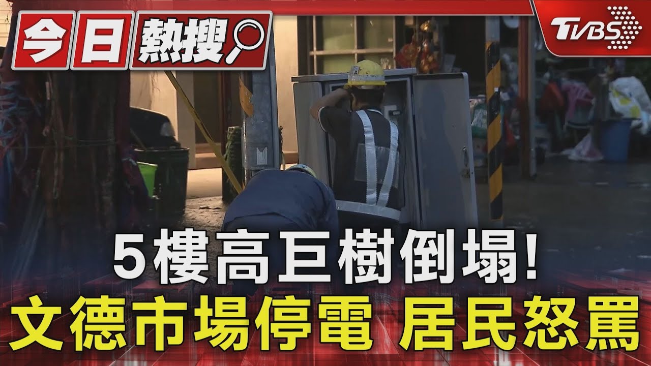 5樓高巨樹倒塌!文德市場停電居民怒罵