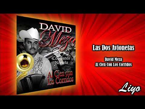 David Meza - Las Dos Avionetas