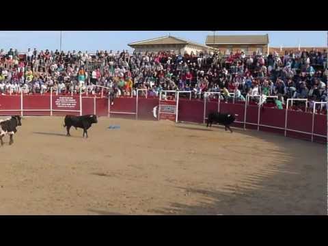 Fiestas de Carbonero El Mayor 2012. Encierro domingo 9/9/2012 (16)