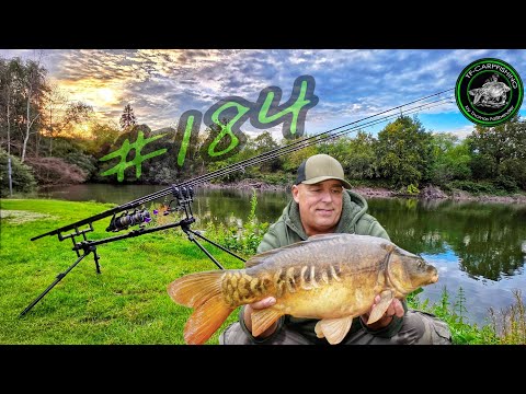 CARP FISHING VTB #184 - Stellar moments at the quarry / What's next for my YouTube channel?