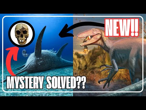 NEW DINOSAURS DISCOVERED & HUMAN EVOLUTION SOLVE?? - PALEO WEEKLY 29th September 2025