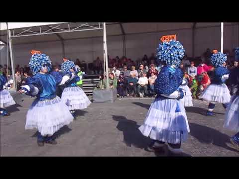 Aalst Carnaval 2025 - AKV 't Es Noig: Stoetfilm