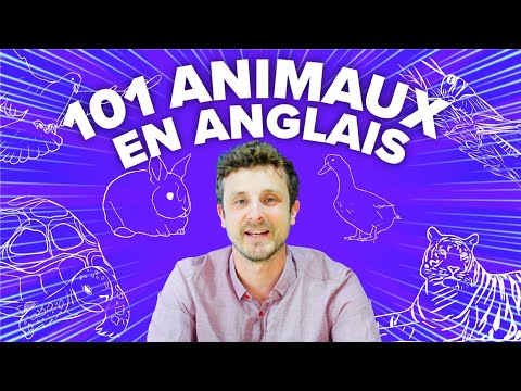 101 Noms des Animaux en Anglais | Prononciation authentique pour chaque mot.