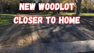 It's time to bring the wood lot closer to home.  What did we do?!?