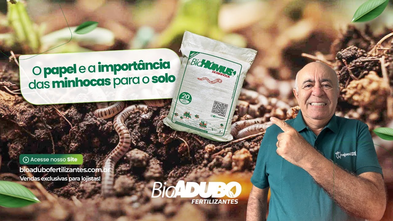 Qual o papel e a importância das minhocas para o solo?