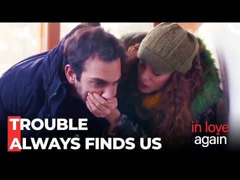 Getting Lost Together in the Forest - In Love Again
